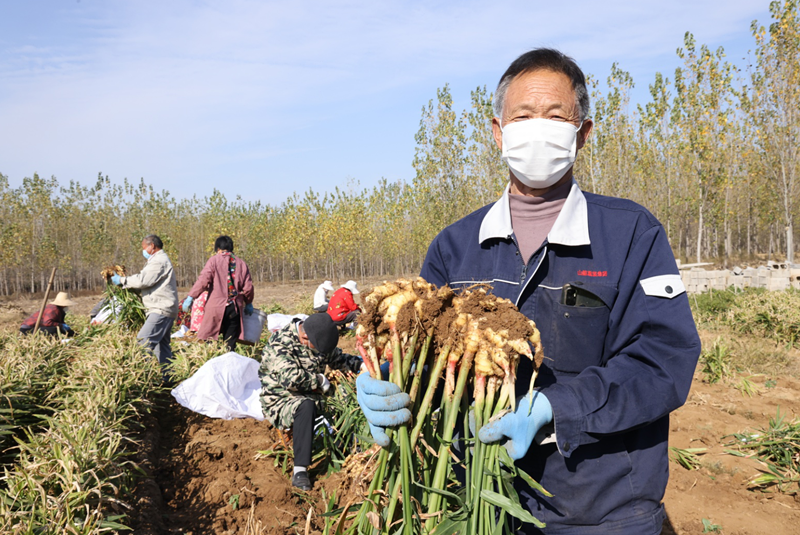 ������������ح�����(zh��n)������ϲ�S�� �r(n��ng)��չЦ�