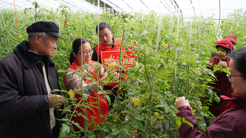 �����l(xi��ng)�����d | ���Ѕ^(q��)����·�ֵ���Ո�r�������_չ�Nֲ���gָ��